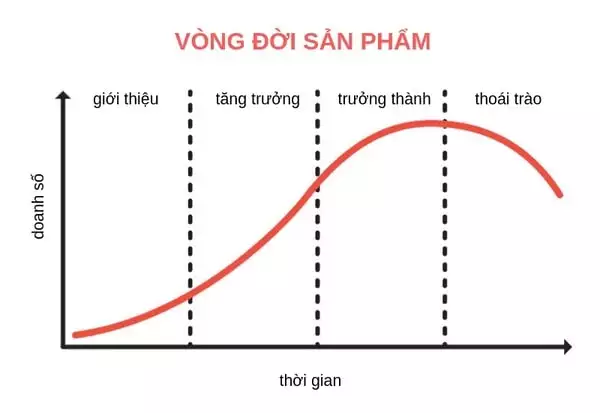 7p trong marketing cu the la gi chien luoc quy trinh trien khai chi tiet 5oCnIs0U9