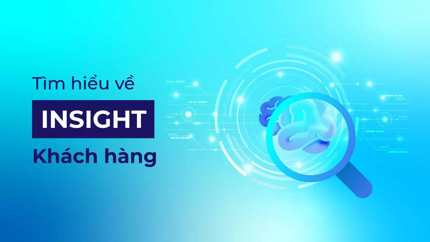 customer insight la gi cach khai thac insight khach hang hieu qua zebhsw3Hn