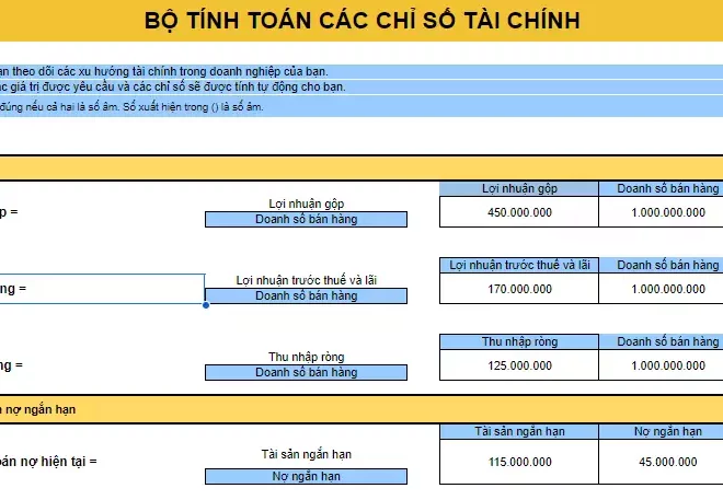 Chia sẻ Template hướng dẫn tính toán các bộ chỉ số tài chính quan trọng