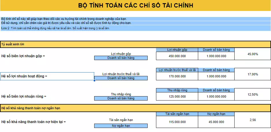 Chia sẻ Template hướng dẫn tính toán các bộ chỉ số tài chính quan trọng