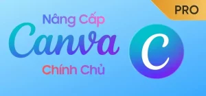 Nâng cấp tài khoản Canva Pro chính chủ